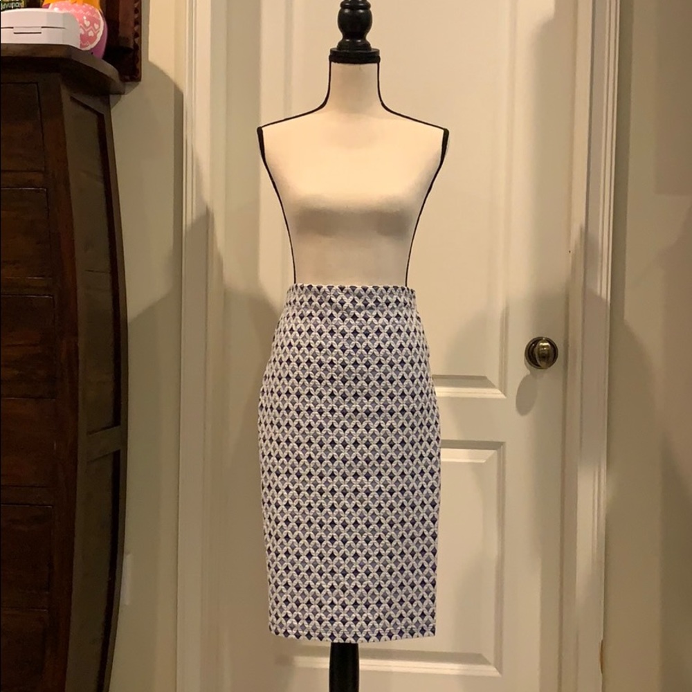 Blue Pattern Zara Pencil Skirt